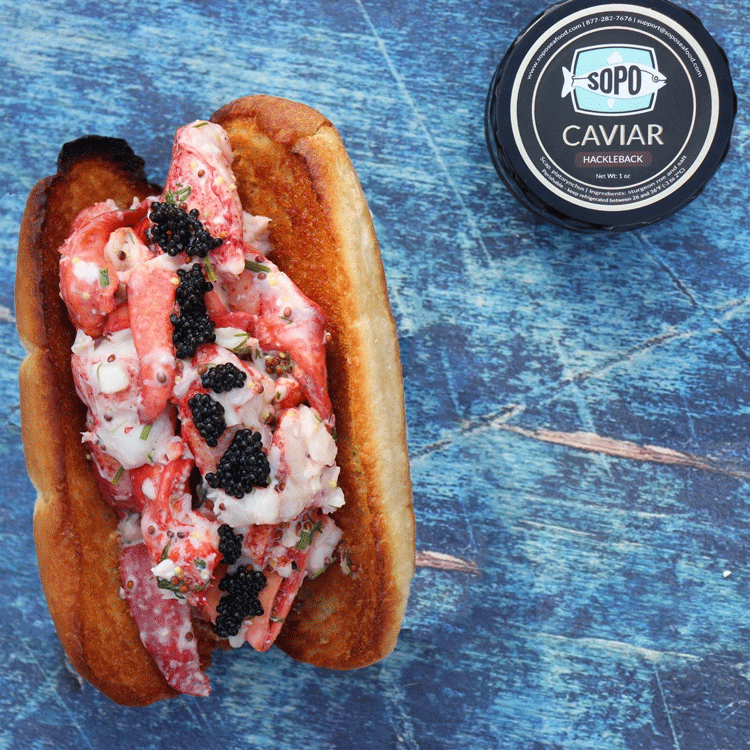 Maine Lobster Roll & American Caviar Kit