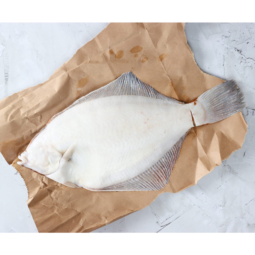 Gulf of Maine Flounder (Sustainable Fishery/Premium Quality) - Temporarily Unavailable