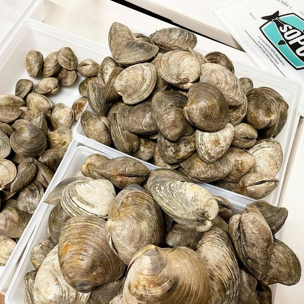 Cherry Stone Maine Clams (North Haven) - Sold Out