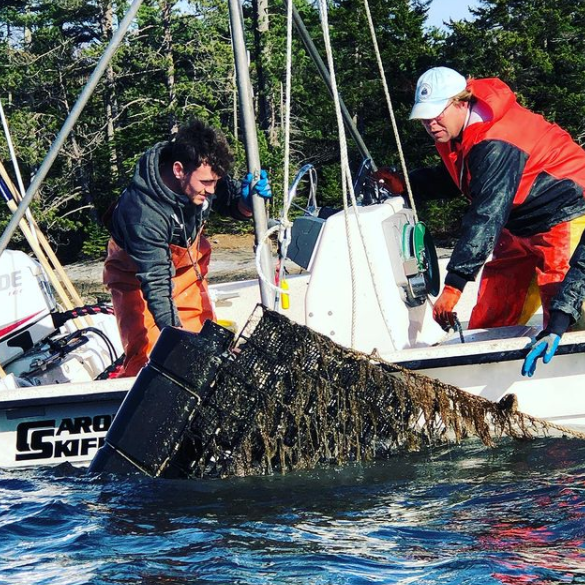 Mere Point Maine Oysters (Brunswick, ME)