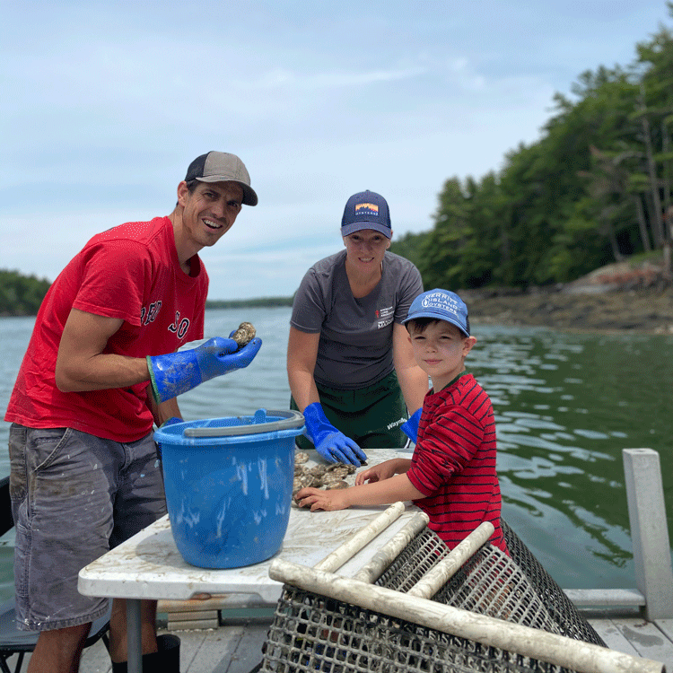 Merritt Island Maine Oysters - SoPo Seafood
