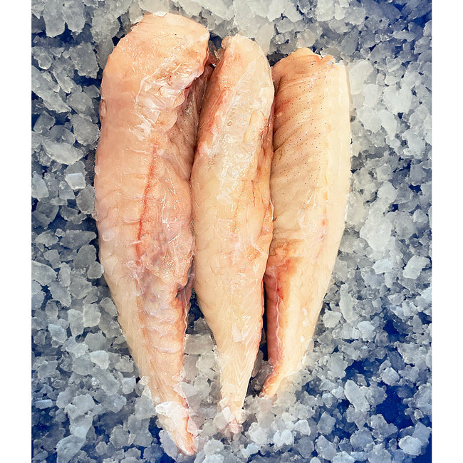 Fresh Gulf of Maine Monkfish Fillet (Sustainable Fishery/Never Frozen)