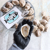 Maine Oyster Duo Box (2 Great Local Farms)