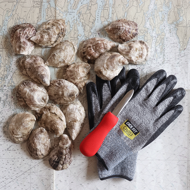 Oyster Shucking Kit