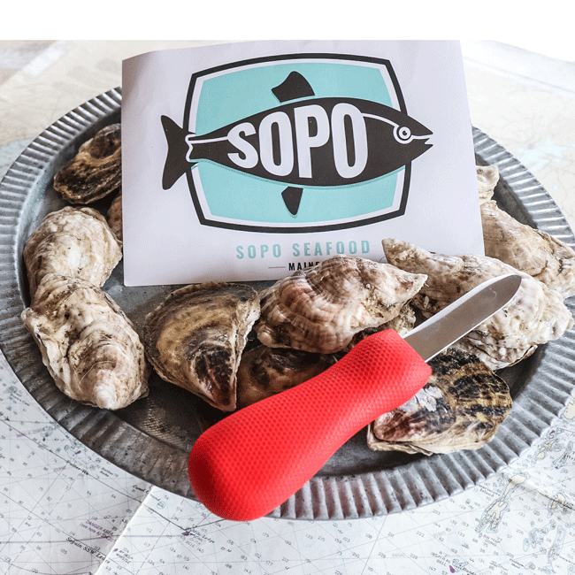 Oyster Shucking Knife