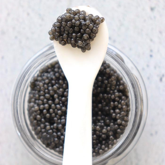Spoonbill Caviar from SoPo