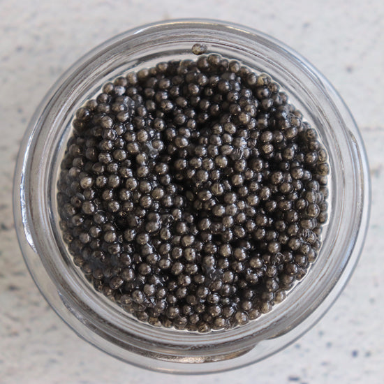 Spoonbill caviar Close Up