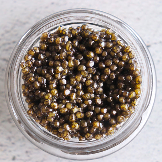 American White Sturgeon Caviar